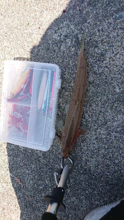 まさかの獲物！！