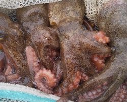 雨に打たれて…