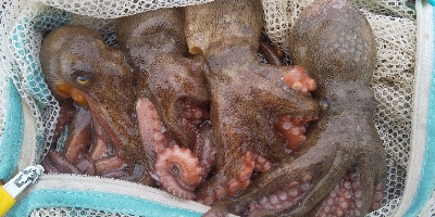 雨に打たれて…