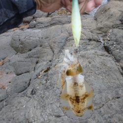 ピンポイント狙い撃ち