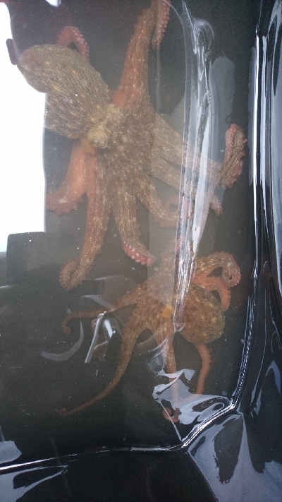 なんとか２杯、ばらしも２杯