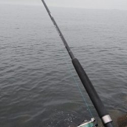 最後にハプニング