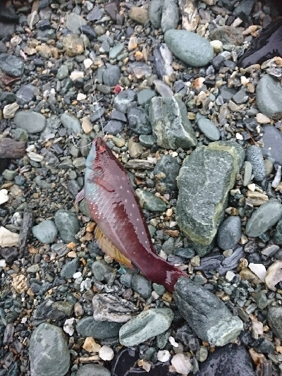 3連休最終日、迷いの釣りに成果なし…