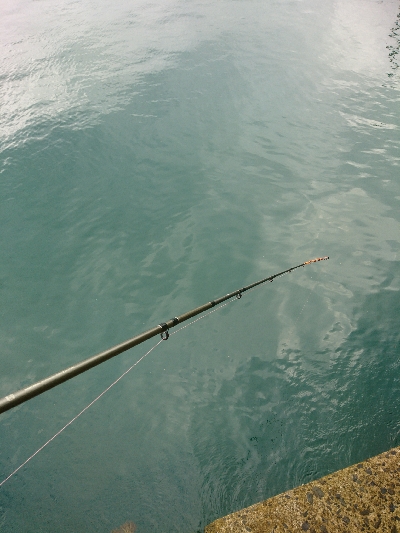 ボイル祭りに遭遇！！良型トップシーバスゲット！！