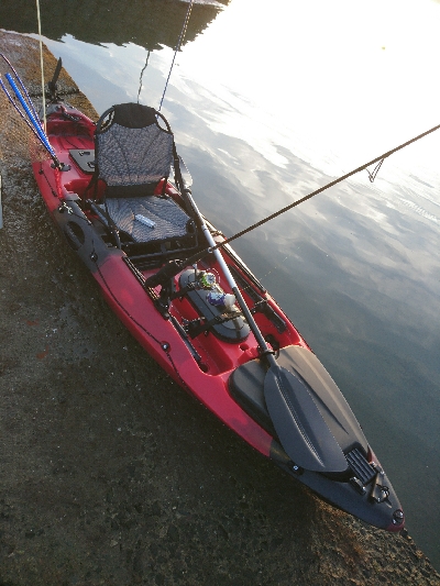 初カヤックフィッシングで、チヌ釣果！&リリース