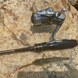 ハゼクラ　大失敗