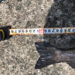 1本満足〜1本満足〜ッ♫！