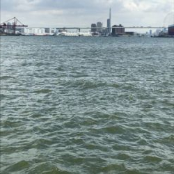 今週のサバエさんは…