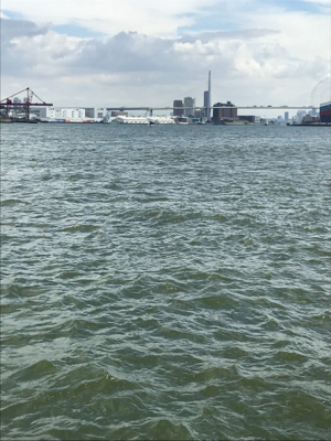 今週のサバエさんは…