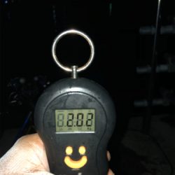 ヤエンリベンジ釣行