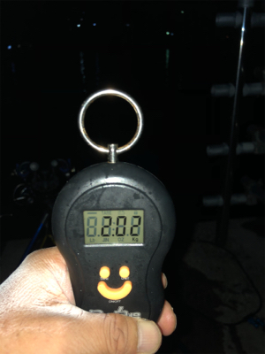 ヤエンリベンジ釣行