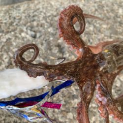 仕事帰り短時間勝負！