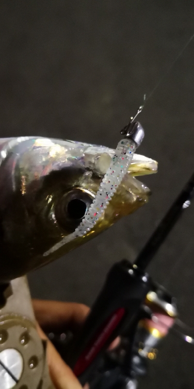 アジング練習 161