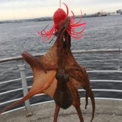 SSJ小サバ&タコ狩り新子ツヌケ