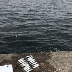 雨が降るまで…