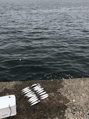 雨が降るまで…