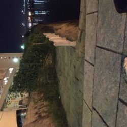 多々良川河口でチニング