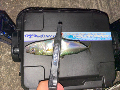 アジングアジング楽しいな