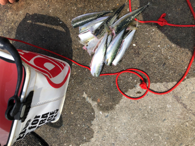 親父たち久々‼️…