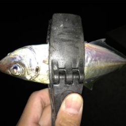 2020ライトゲーム第20戦