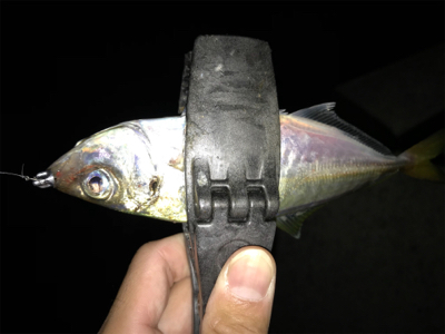 2020ライトゲーム第20戦