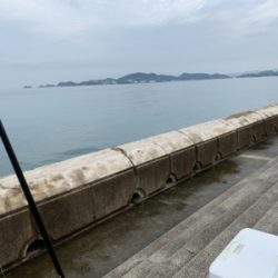 mcにて太刀魚狙い