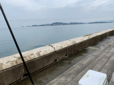 mcにて太刀魚狙い