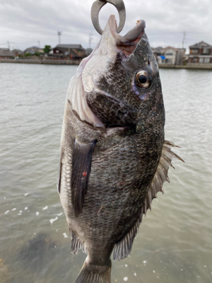 トップチニング