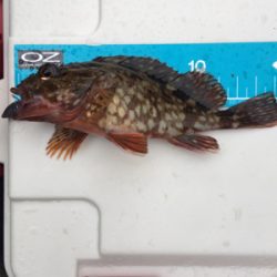 風　強っ（笑）