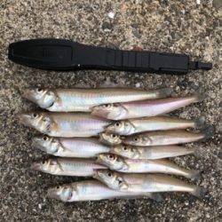 キスちょい投げ