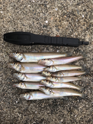 キスちょい投げ