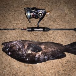 こんな場所でまさかの！？