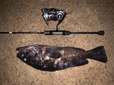 こんな場所でまさかの！？