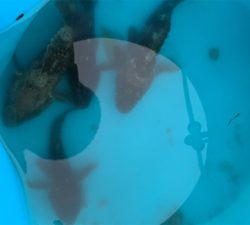 雨が降る前の釣行