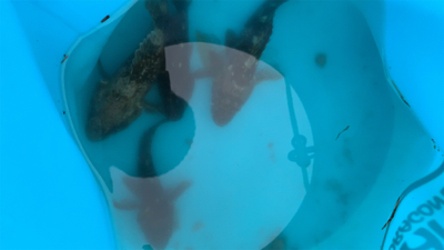 雨が降る前の釣行