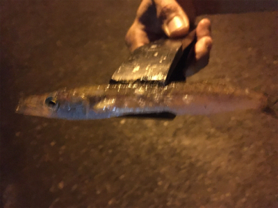 外道だらけのアジング