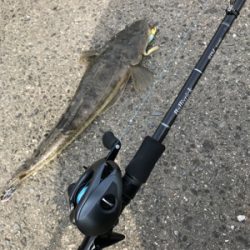 濁った紀ノ川で