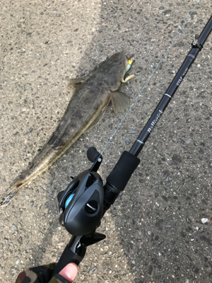 濁った紀ノ川で