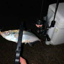 あっちも駄目で、こっちも駄目で…