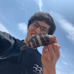 金谷港サビキ　泳がせ