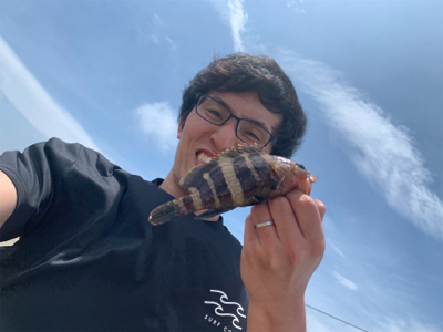 金谷港サビキ　泳がせ