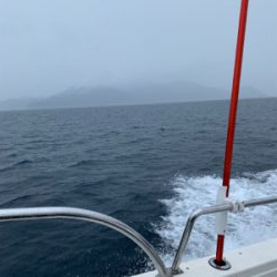 中深海ジギング