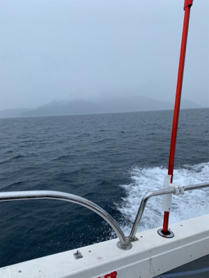 中深海ジギング