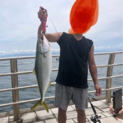 メジロとハマチ