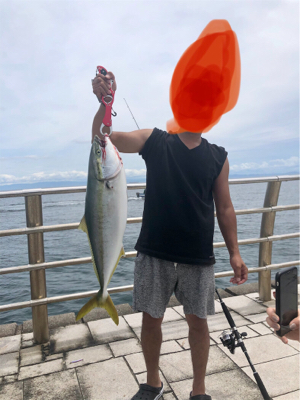 メジロとハマチ