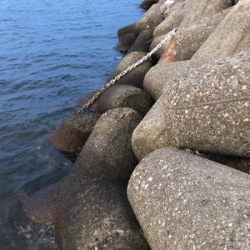 タコ調査6!大物バラシ(泣)泣