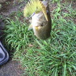 全開放流の琵琶湖