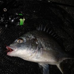 梅雨の晴れ間に