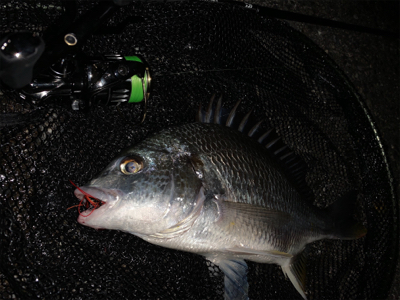 梅雨の晴れ間に
