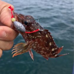 シーズンラストに来ました!